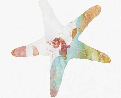 SDS1319 - Subtle Starfish - 12x16 Sale