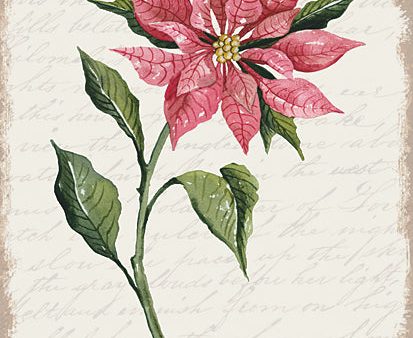 CIN3263 - Poinsettia Botanical I - 12x16 Online