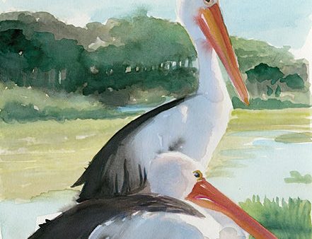 SDS1326 - Pelicans by the Bay 1 - 12x16 For Cheap