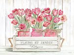 CIN2883 - Trio of Pink Tulips - 16x12 on Sale