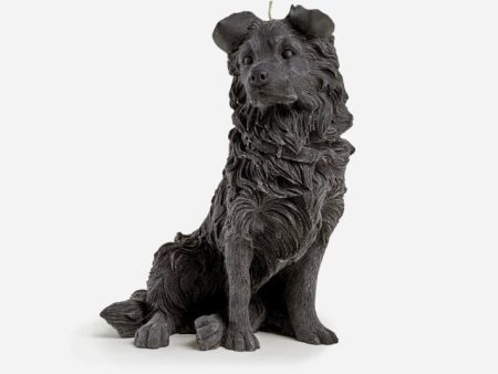 Border Collie Candle (Black) Online Sale