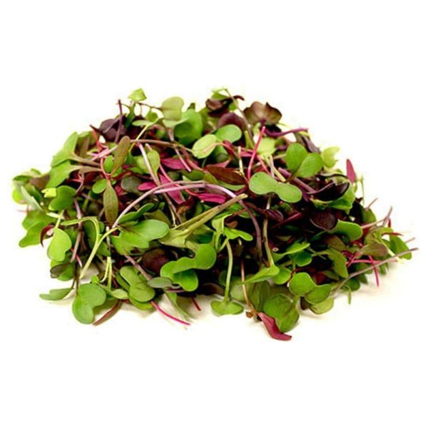 Salad Mix   Microherbs - 100g punnet Online now